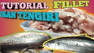 Cara Memfillet Ikan Tengiri | Tutorial fillet ikan - Mudah banget