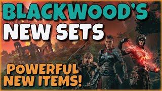 Detailed NEW Item Sets Review! One of My Favorite Patches for Gear | ESO - Blackwood PTS 7.0.0