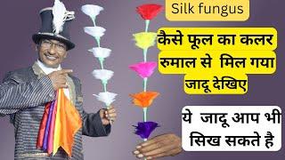 Silk Fungus magic / JADU DUKAN / PANDIT MAGIC SHOP / M K PANDIT / 9934607159