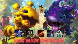 LEAGUE OF LEGENDS (LOL) KOGMAW MONTAGE S14. Best PLAYS SG. [ HYPER CARRY 60 FPS ]