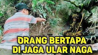 Geger !! Hendak Cari Pakan Ternak Dihutan Warga Temukan Orang Bertapa Dijaga Ular Naga