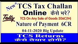How TCS Tax On Sale of Goods Deposit Online |TCS Tax ka Online challan |Nature of Payment TCS Tax