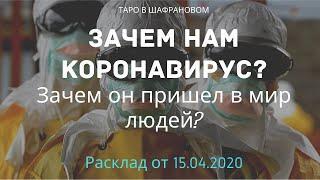 Зачем коронавирус пришел к людям? Интересный ответ в гадании на картах