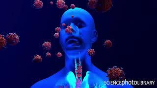 Design cells has animated the infection route of viral respiratory disease  such as coronavirus cell