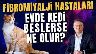 Fibromiyalji hastaları evde kedi beslerse ne olur? Dr. Mehmet Portakal