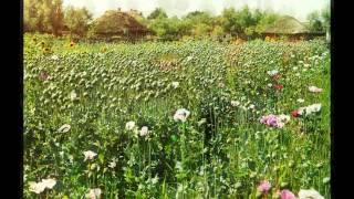 From Olden Times (Early 1900's colour pictures by Sergei Prokudin-Gorsky)