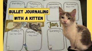 True Expectations of Bullet Journaling with a Kitten