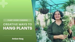 Plant Lovers' Paradise: Creative Ways to Hang Plants! इन अलग-अलग तरीकों से पौधों को हवा में लटकाऐं