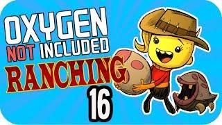 SUPER HATCHES!! ▶Oxygen Not Included RANCHER◀ #16 Oxygen Not Included RANCHER UPGRADE ONI