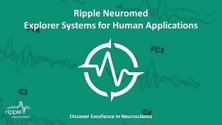 The Explorer Product Line for Human Neuroscience