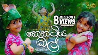 Kekatiya Mal (කෙකටිය මල්) | Various Artist | Diyani Teledrama Song | eTunes