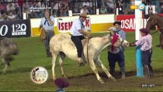 Jineteada en el Festival de Jesús María 2016 (Tanda 4)