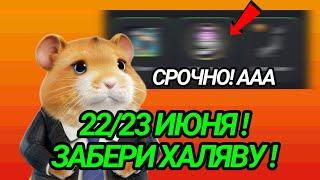 НОВЫЕ КОМБО КАРТЫ НА 22/23 ИЮНЯ HAMSTER KOMBAT ЗАБЕРИ TG !