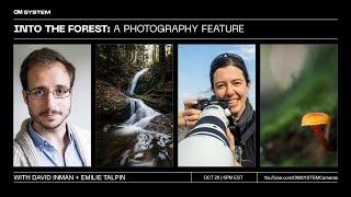 Into The Forest: A Photography Feature