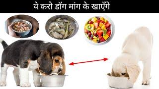 ये करो डॉग मांग के खाएँगे / how to increase dog weight