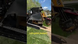 Fuquay Varina Stump Grinding Services: Get Rid of Unsightly Stumps Fast with Our Expert Team