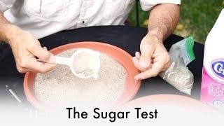 The Sugar Test | Jurassic Sand How to Pick the Best Sand for Your Sandbox Part 2