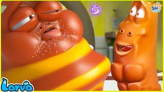 LARVA Season 2 Episode 378 ~ 499 | Best Cartoons 2022 | Comics | Hilarious Cartoon Compilation