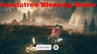 Shadow Of The Erdtree Early Scadutree Blessing Elden Ring Guide