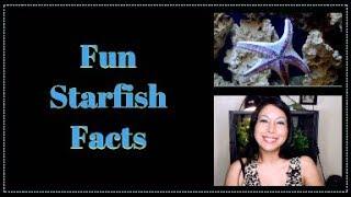 Interesting Starfish Facts