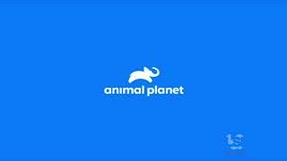 Animal Planet (2018/2019)