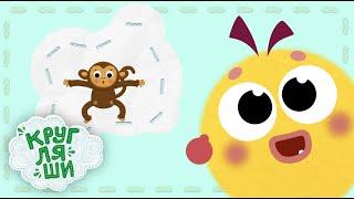 Кругляши - Мультфильмы для детей про животных и другие серии  СБОРНИК