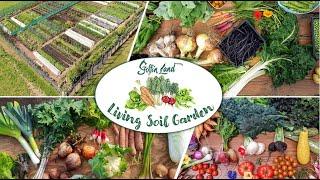 Welcome to Living Soil Garden