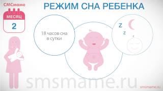 Ребенок 2 месяца - режим ребенка, режим сна, как уложить спать