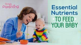 Essential Nutrients for a Baby (For 6 Month Old and Above)