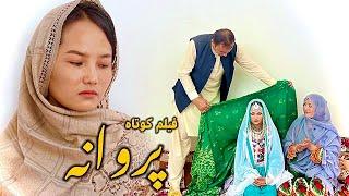 Parwana - پروانه | Hazaragi Short Film | فیلم هزارگی