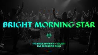 The Spark - Bright Morning Star (Official Music Video)