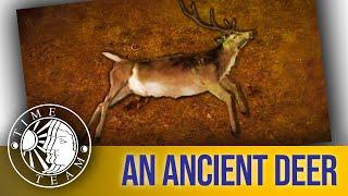  A Deer From Yesteryear! | Time Team Classic