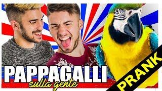 PAPPAGALLI SULLA GENTE | Matt & Bise