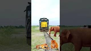 Elephant,cat,dog,fox, crying baby & toy car vs high speed train - funny vfx video