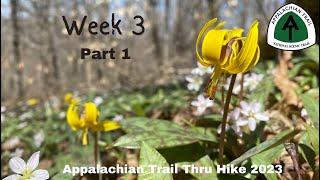 Week 3 part 1 |Appalachian Trail Thru Hike 2023 NOBO