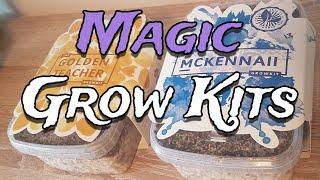 How to Grow Mushrooms from Start to Finish with a Magic Grow Kit - The Easiest Way to Grow Shrooms