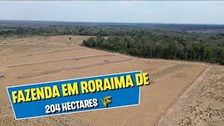 Fazenda em Roraima de 204 hectares na região do Bonfim a 35km de Boa Vista, dupla aptidão agrícola