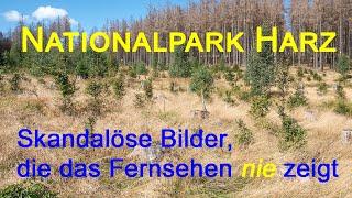 Nationalpark Harz - Diese Bilder zeigt das Fernsehen nie!