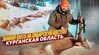 Супер охота на сибирскую косулю в Курганской области @professional_hunting