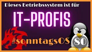 Für IT-Profis - Kaisen Linux 2.2 - #SonntagsOS - 80