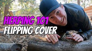 Herping 101: Flipping Cover