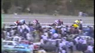 COUPE D'OR 1995 - LE TURBO V/S BOTANIQUE - MOHAMMAD MOORAD KEERPAH - FREE HORSE RACING TIPS