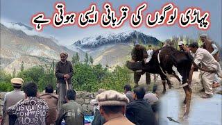 Gaon ma Hamari Eid Ki Routine | Village Main Qorbani Kasay Karty Hain | Village Life in Baltistan