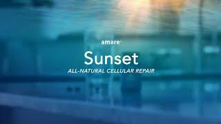 Amare Sunset Overview with Dr. Shawn Talbott