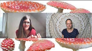 152 Nana Sturm im Gespräch mit Dokumentarfilmerin Andrea Lötscher über Fliegenpilz, Amanita Muscaria