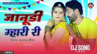 जानूडी म्हारी री | Sonam Gujari | Dhanraj Meena | Rajasthani DJ Song 2024 | New DJ Mix Song 2024