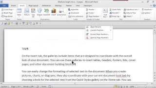 How to Make Headers & Consecutive Page Numbers Using Word : MS Word Skills