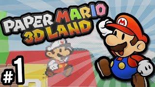 Paper Mario 3D Land - 100% RPG Platformer Adventure! | PART 1