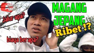 Proses Magang ke JEPANG‼️Ribet ⁉️|  JALUR SWASTA