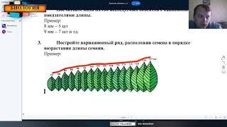 Лабораторная работа  «Изучение изменчивости»